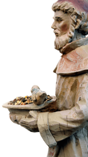 Who We Are | Third Order Society of St Francis