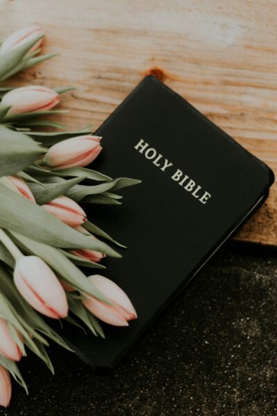 Holy Bible and tulips