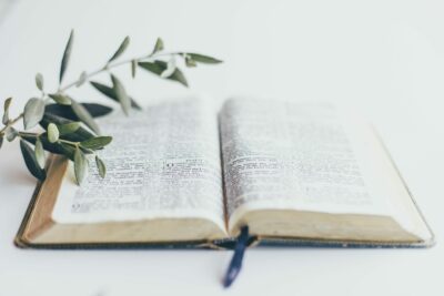 The Holy Bible and Olive Branch